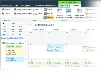 Kalendarz grupy