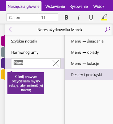Zrzut ekranu przedstawiający sekcję, której nazwa jest zmieniana w programie OneNote