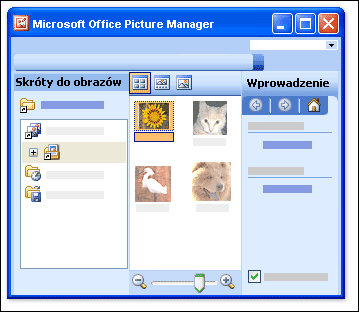 Po otwarciu programu Picture Manager wyświetlane są trzy okienka.