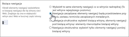 Bieżąca sekcja nawigacji z wybraną pozycją Nawigacja zarządzana