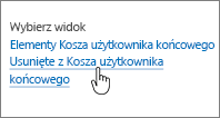 Kosz w programie SharePoint 2013 z wyróżnionym przyciskiem Usuń po stronie użytkownika