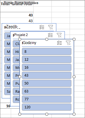 Filtry fragmentatora w arkuszu w programie Excel.