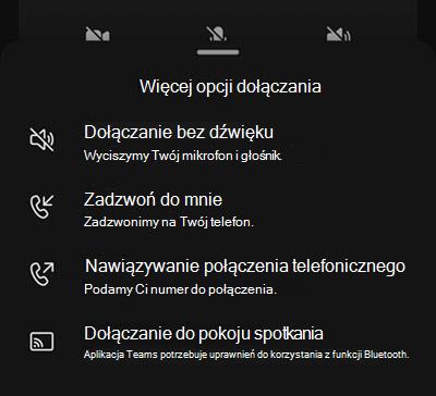 Wybierz źródło dźwięku na ekranie przed dołączeniem do spotkania na urządzeniu przenośnym.