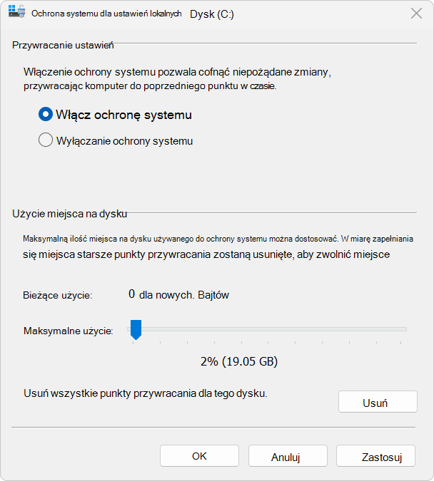 Zrzut ekranu przedstawiający ochronę systemu.