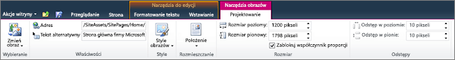 Karta narzędzia obrazów umożliwia ustawianie rozmiaru, stylu, położenia i tekstu alternatywnego obrazów.