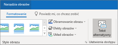 Przycisk Tekst alternatywny na wstążce programu Outlook dla systemu Windows.