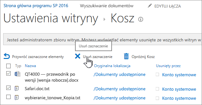 Wyróżniony przycisk Usuń na stronie Kosz programu SharePoint 2016