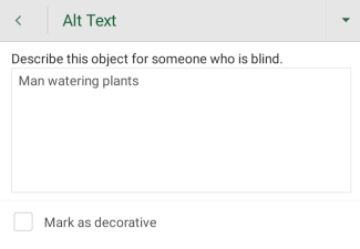 Okno dialogowe Tekst alternatywny w aplikacji Excel dla systemu Android.