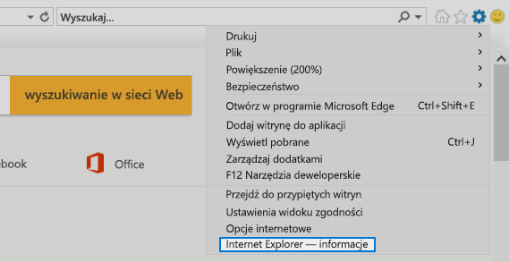 Internet Explorer — informacje
