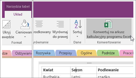 Zrzut ekranu przedstawiający przycisk Konwertuj na arkusz kalkulacyjny programu Excel w programie OneNote 2016.