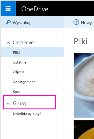 Grupy usługi Windows Live w usłudze OneDrive