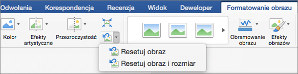 Usuwanie Tła Obrazu W Pakiecie Office Mac Pomoc Techniczna Pakietu Office 3849