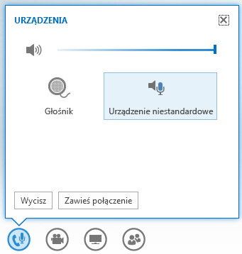 Zrzut ekranu: opcje wyświetlane po umieszczeniu wskaźnika myszy na przycisku dźwięku