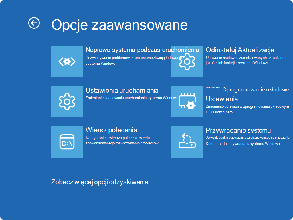 Zrzut ekranu przedstawiający Windows RE — opcje zaawansowane.