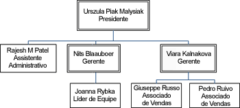 Formas organizadas com o executivo na parte superior, os gerentes alinhados horizontalmente abaixo e os outros cargos alinhados verticalmente abaixo dos gerentes