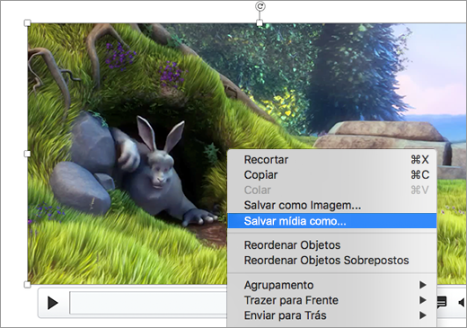 Slide contendo uma imagem e o comando Salvar como imagem selecionado no menu de atalho