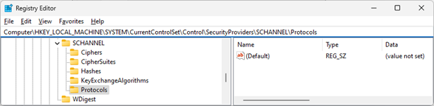 Captura de tela da janela Editor do Registro mostrando a pasta Protocolos