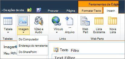 Clique no botão imagem na faixa de opções e selecione do computador, endereço ou SharePoint.
