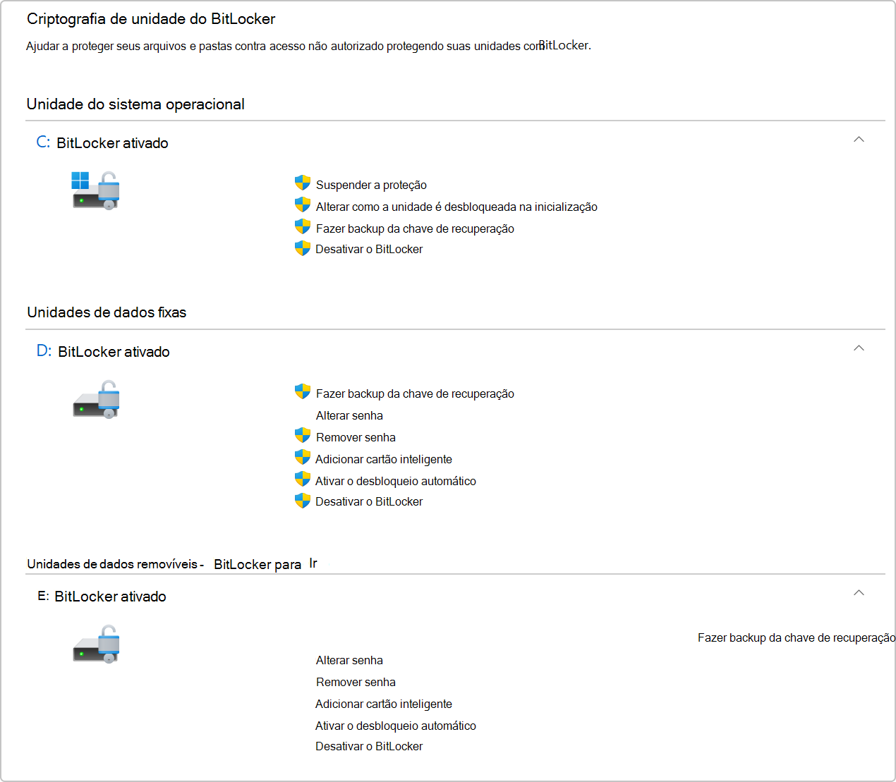 Captura de ecrã a mostrar a Encriptação de Unidade BitLocker no Painel de Controlo.