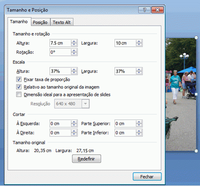 Caixa de diálogo Formatar Imagem