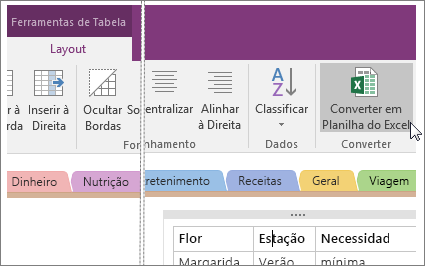 Captura de tela do botão Converter em Planilha do Excel no OneNote 2016.