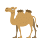 Dois ícones expressivos camel corcundas