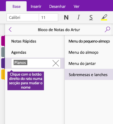 Captura de ecrã a mostrar a alteração do nome de uma secção no OneNote
