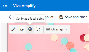 Captura de ecrã a mostrar o botão Definir ponto focal da imagem na barra de ferramentas.