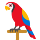 Ícone expressivo de papagaio