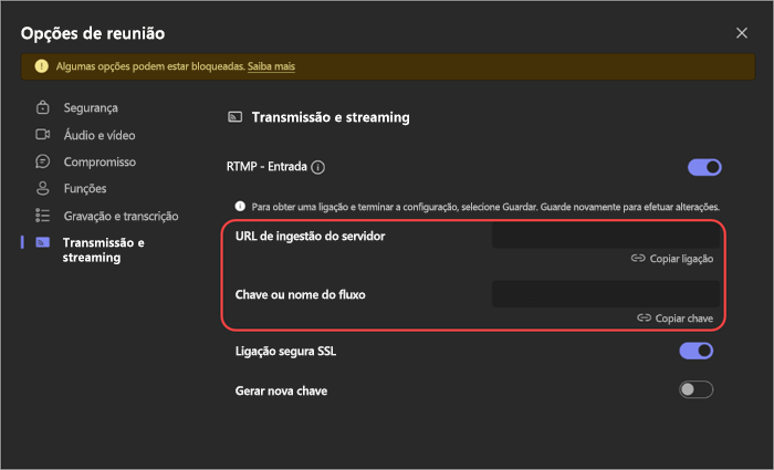 Captura de ecrã a mostrar as definições de RTMP-In nas opções de reunião.