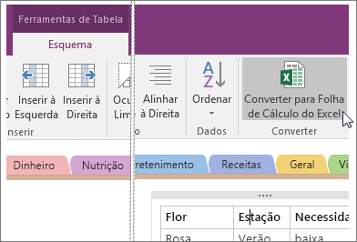 Captura de ecrã do botão Converter em Folha de Cálculo do Excel no OneNote 2016.