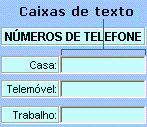 Exemplo de um controlo de caixa de texto ActiveX