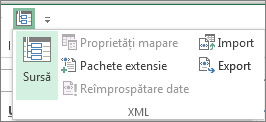 În bara de instrumente Acces rapid, faceți clic pe XML.