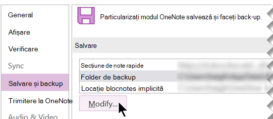 Captură de ecran a casetei de dialog Opțiuni OneNote pentru copierea de backup a unui folder