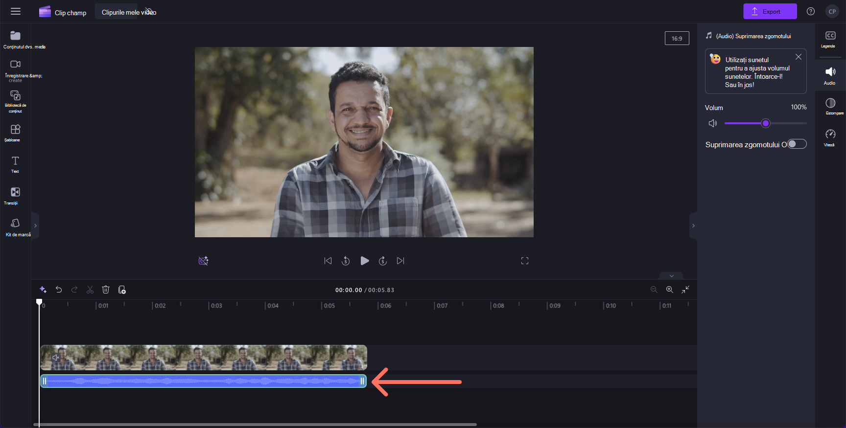 O imagine a fișierului audio de sub videoclip în cronologie.