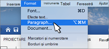 Selecting Paragraph from Format menu
