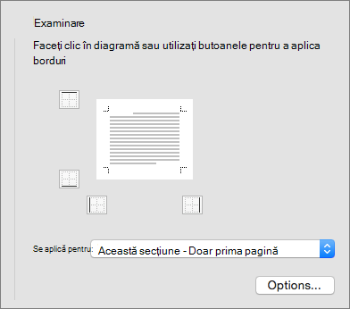 The Preview box in the Borders and Shading dialog box is shown