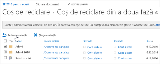 Reciclare de nivel 2 SharePoint cu butonul restaurare evidențiat