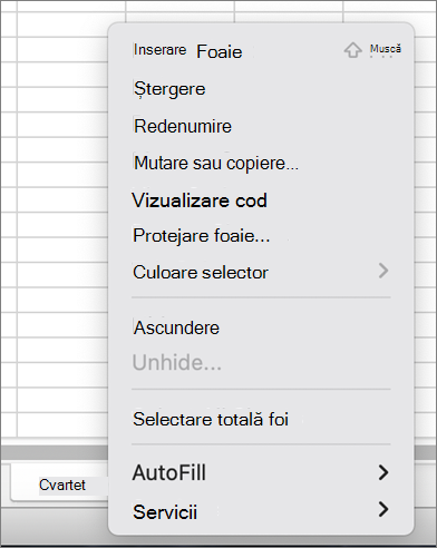 Meniul Protejare registru de lucru indisponibil MacOS