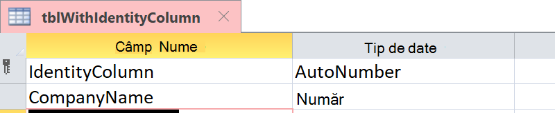 Show that Identity Column is identified as an AutoNumber field