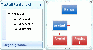 Aspect Organigramă cu 1 formă manager, 2 forme subordonați și 2 formă asistent.