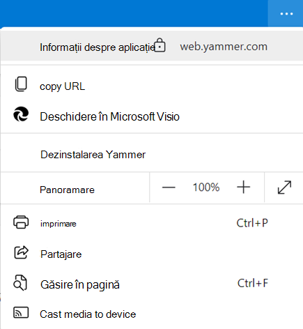 Captură de ecran afișând informațiile de aplicație pentru aplicația desktop Yammer