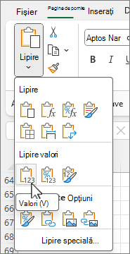 Paste values button in options gallery