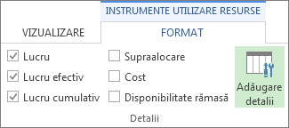 Fila Format Instrumente utilizare resurse, butonul Adăugare detalii