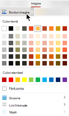 Meniul Borduri imagine are opțiuni pentru culoare, grosime și stil de linie.