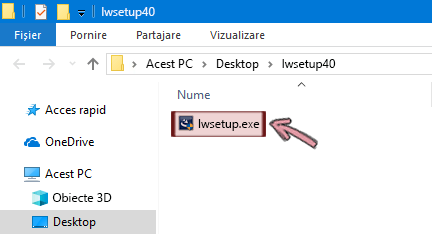 Faceți dublu clic pe lwsetup.exe pentru a începe instalarea programului de completare LiveWeb.