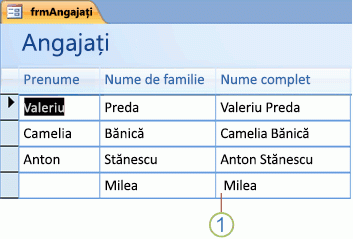 Example of expression result when no first name is present