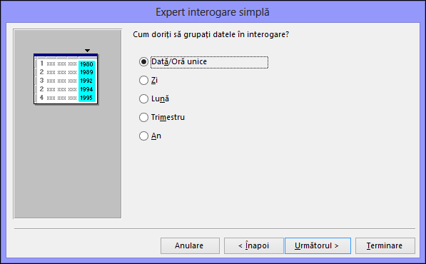 Selectați cum doriți să grupați datele din interogare în caseta de dialog Expert interogare simplă
