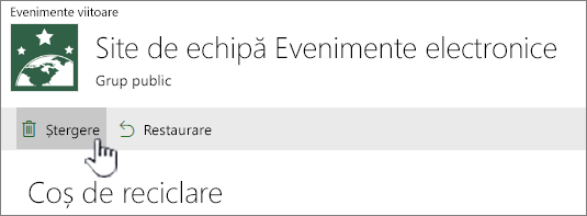 Butonul Ștergere element din Reciclare SharePoint Online