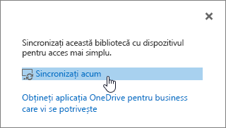 Caseta de dialog sincronizare acum cu linkul sincronizare acum evidențiat